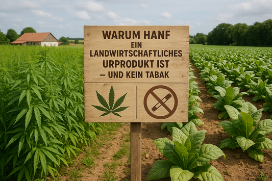 Warum Hanf ein landwirtschaftliches Urprodukt ist – und kein Tabak