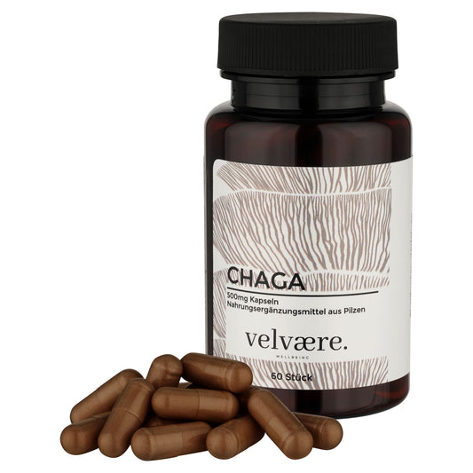 Velvaere Chaga Pulver Kapseln