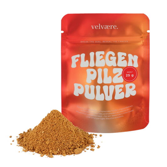 Fliegenpilz Pulver