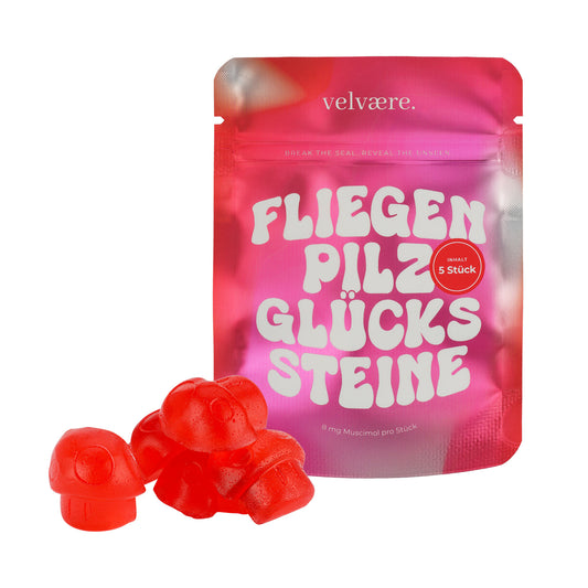Pilz Glücksbringer